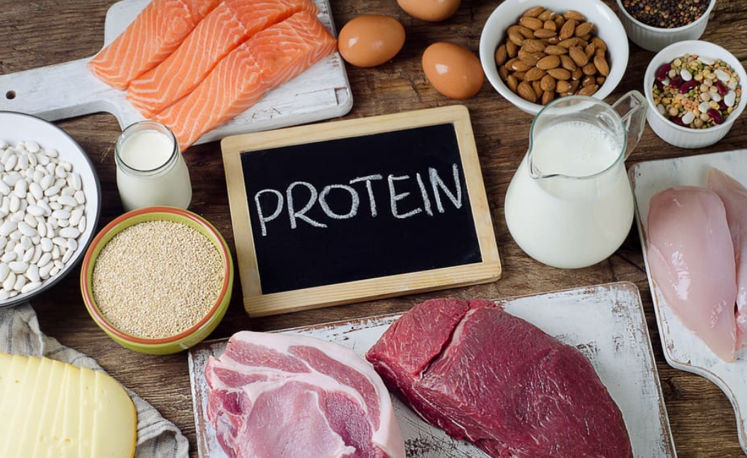 Waarom eiwitten belangrijk zijn bij gewichtsverlies